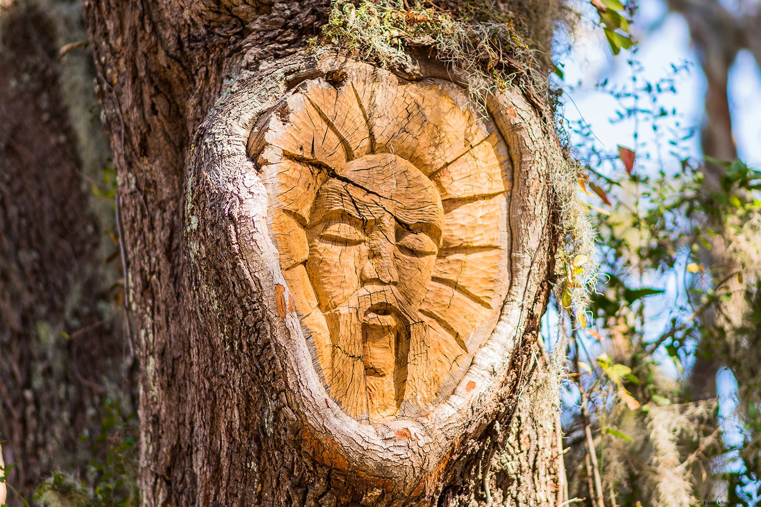 Golden Isles:onde as férias de verão nunca terminam 